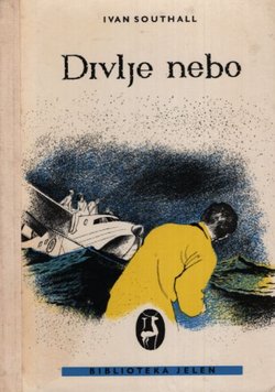 Divlje nebo