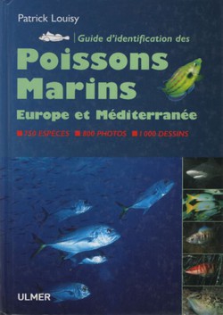 Guide d'identification des poissons marins Europe et Mediterranee