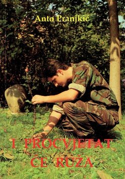 I procvjetat će ruža