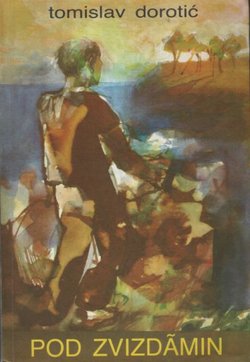 Pod zvizdamin