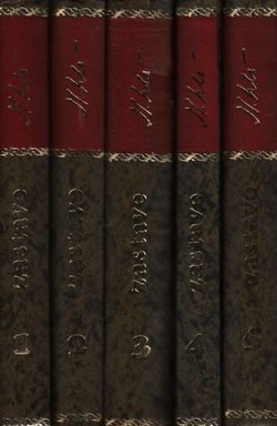 Zastave I-V