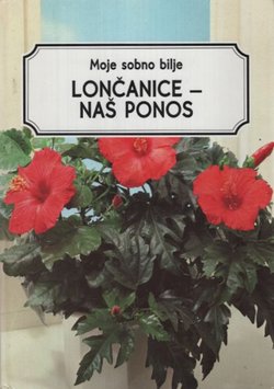 Moje sobno bilje. Lončanice - naš ponos