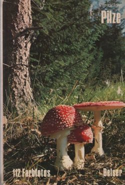Pilze