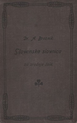 Slovenska slovnica za srednje šole