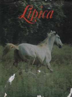 Lipica