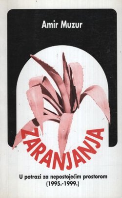 Zaranjanja. U potrazi za nepostojećim prostorom (1995.-1999.)