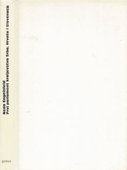 Prvi parlament Kraljevstva Srba, Hrvata i Slovenaca - privremeno narodno predstavništvo