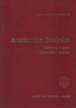 Anatomija čovjeka. Utrobni organi, krvnožilni sustav