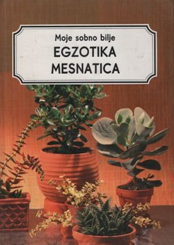 Moje sobno bilje. Egzotika mesnatica. Sukulenti