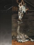 Life (3rd Ed.)