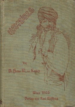 Hamsibeg. Ein Roman aus den Gebirgswildnissen der Balkanhalbinsel