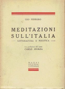 Meditazioni sull'Italia. Letteratura e politica