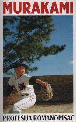 Profesija romanopisac