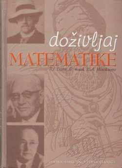 Doživljaj matematike