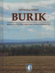 Burik