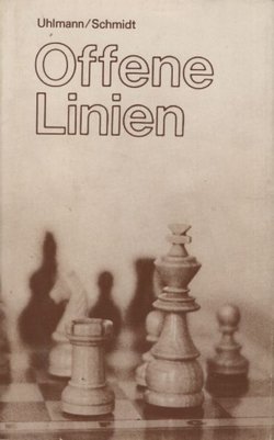 Offene Linien. Strategie für die Schachpraxis