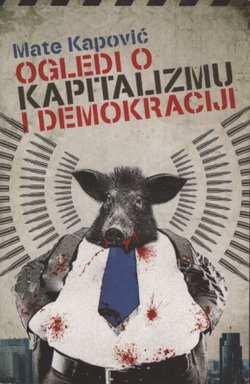 Ogledi o kapitalizmu i demokraciji