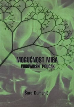 Mogućnost mira. Vukovarski poučak