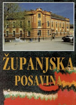 Županjska Posavina