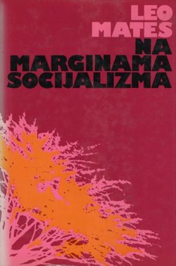 Na marginama socijalizma