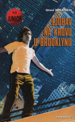 Ljubav na krovu u Brooklynu