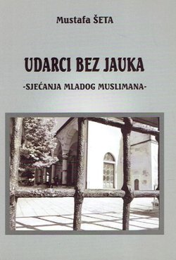 Udarci bez jauka. Sjećanja mladog muslimana