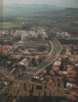 Čapljina. Ilustrovani zbornik