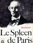 Le Spleen de Paris