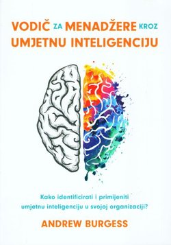 Vodič za menadžere kroz umjetnu inteligenciju. Kako identificirati i primijeniti umjetnu inteligenciju u svojoj organizaciji?