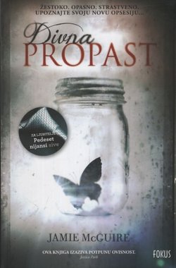 Divna propast