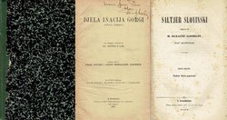 Djela Inacija Gorgi (Ignata Đorđića) I. Pjesni razlike i uzdasi Mandalijene pokornice / Saltjer slovinski (2.izd.)