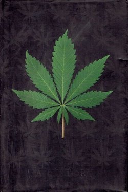 Cannabis. A History