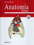 Anatomia humana