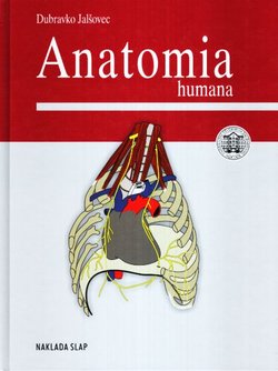 Anatomia humana