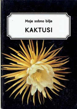 Kaktusi
