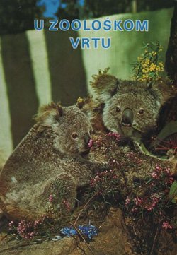 U zoološkom vrtu