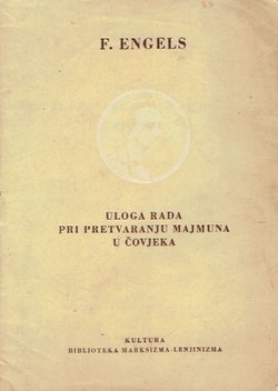 Uloga rada pri pretvaranju majmuna u čovjeka