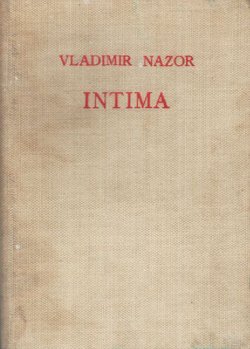 Intima