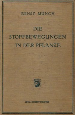 Die Stoffbewegungen in der Pflanze