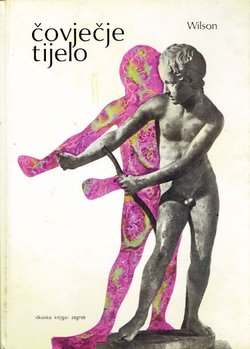 Čovječje tijelo