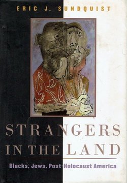 Strangers in the Land. Blacks, Jews, Post-Holocaust America