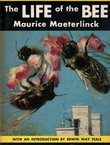 The Life of the Bee