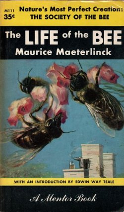 The Life of the Bee