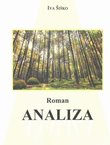 Roman. Analiza