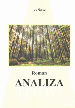 Roman. Analiza