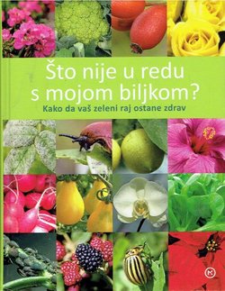 Što nije u redu s mojom biljkom? Kako da vaš zeleni raj ostane zdrav