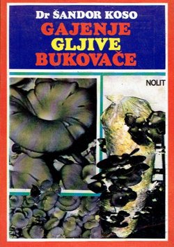 Gajenje gljive bukovače