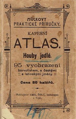 Kapesní atlas. Houby jedlé (Mückovy praktické příručky)
