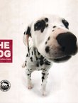 The Dog. Artlist Collection
