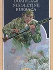 Doživljaji Nikoletine Bursaća